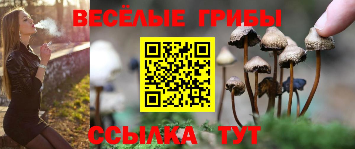 Галлюциногенные грибы Magic Shrooms Реж